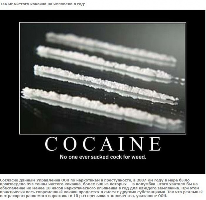 А что если взять и поделить? (27 фото)