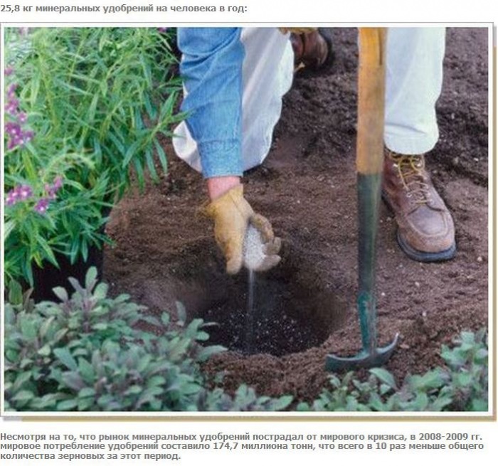 А что если взять и поделить? (27 фото)