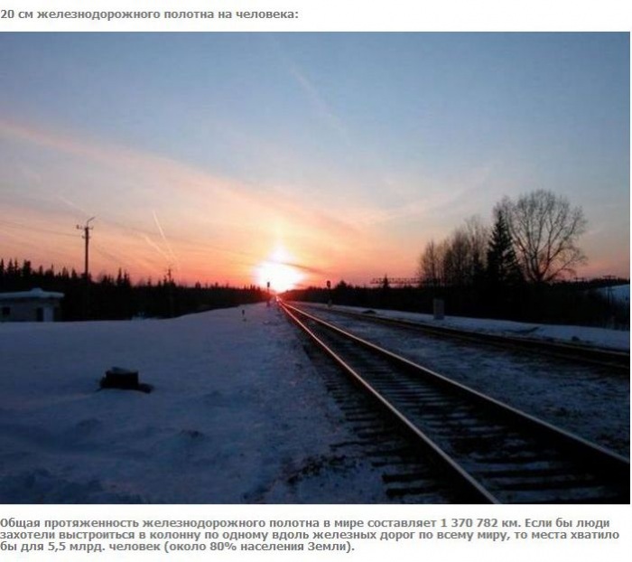 А что если взять и поделить? (27 фото)