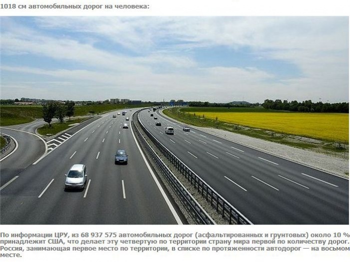 А что если взять и поделить? (27 фото)