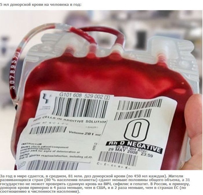 А что если взять и поделить? (27 фото)