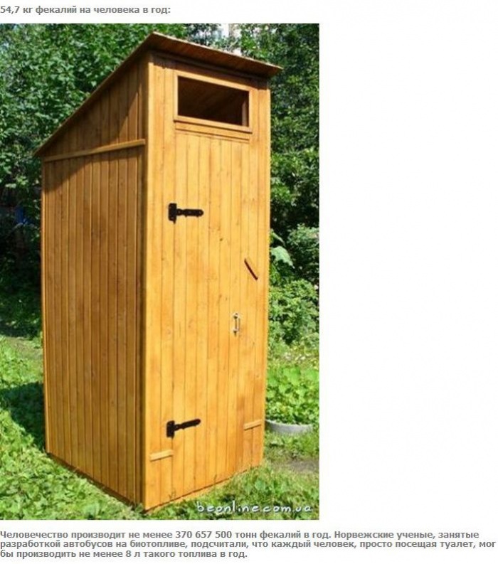 А что если взять и поделить? (27 фото)