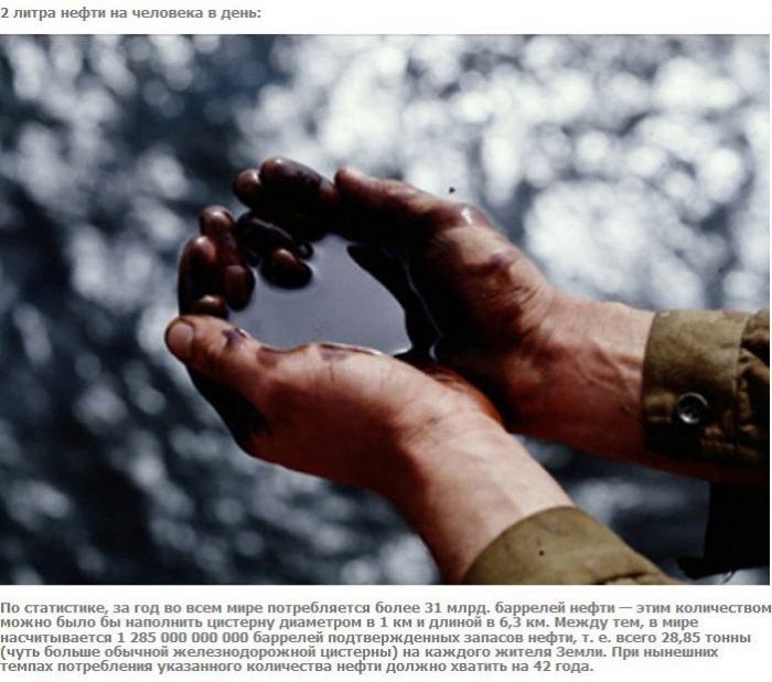 А что если взять и поделить? (27 фото)