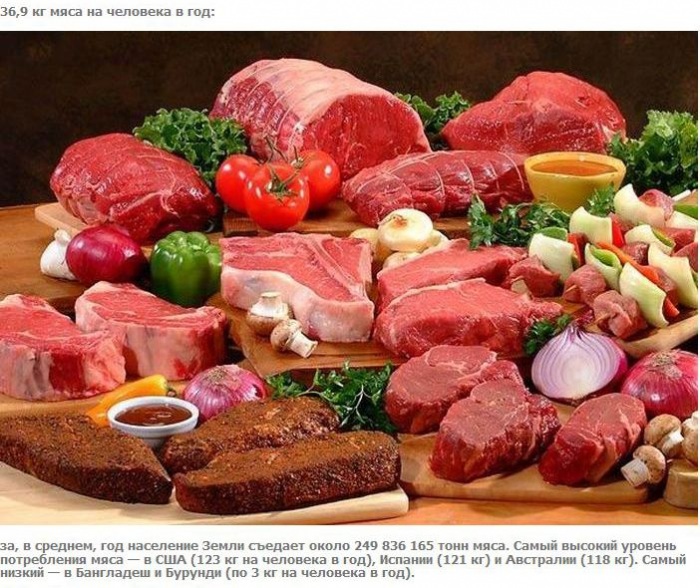 А что если взять и поделить? (27 фото)