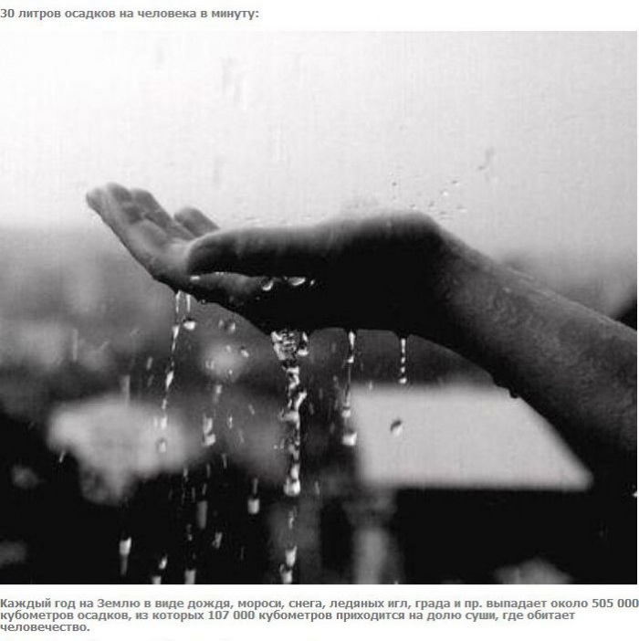 А что если взять и поделить? (27 фото)