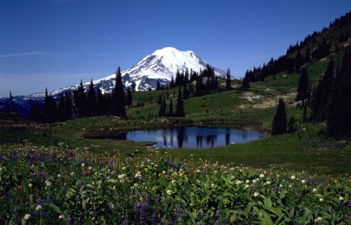 Национальные парки США