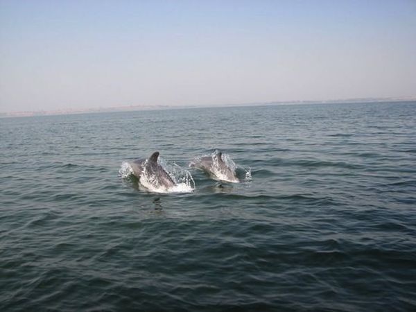 10 фактов о Чёрном море (11 фото)