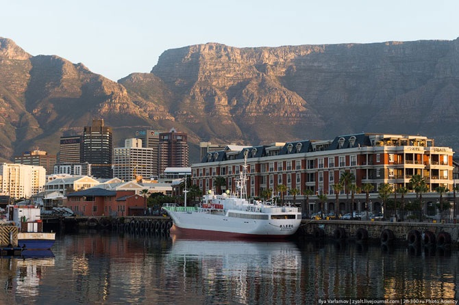 Путешествие в Кейптаун
