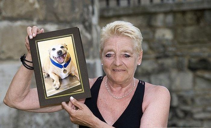 У животных есть душа (14 фото)