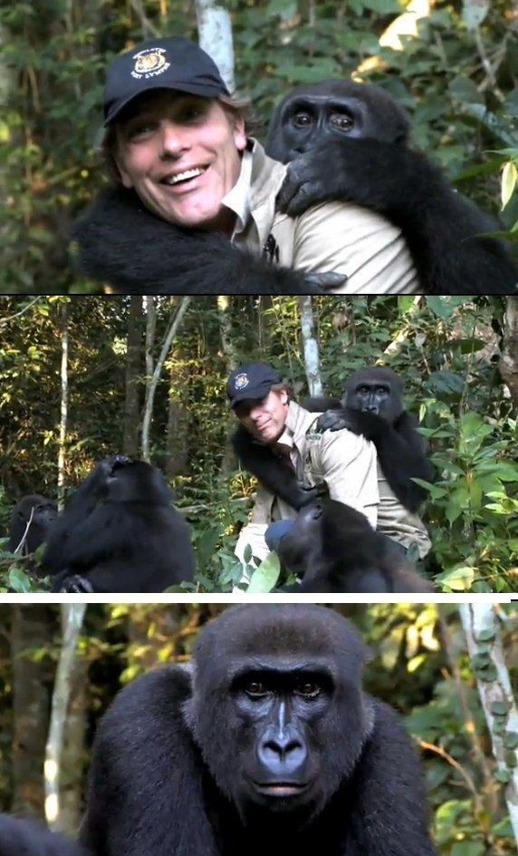 У животных есть душа (14 фото)