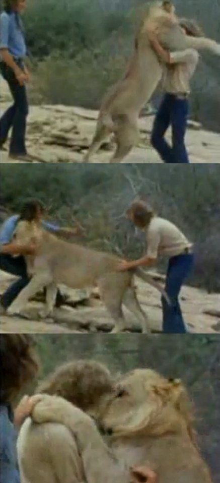 У животных есть душа (14 фото)