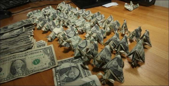 Подложил свинью (8 фото)