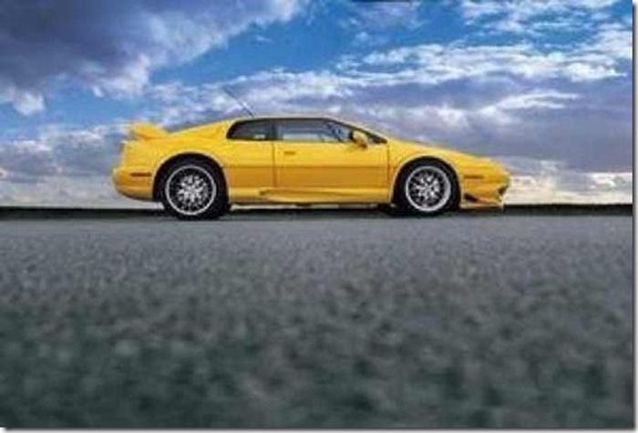 Странные вещи продаются на Ebay (16 фото)