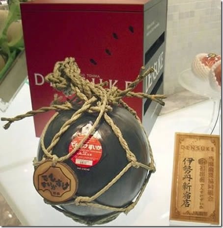 Странные вещи продаются на Ebay (16 фото)