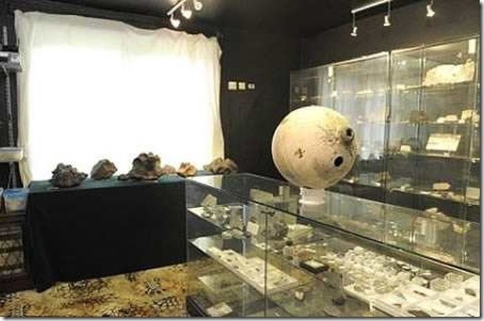 Странные вещи продаются на Ebay (16 фото)