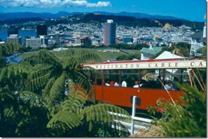 Странные вещи продаются на Ebay (16 фото)