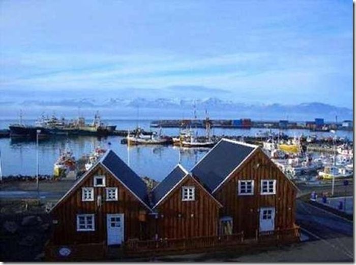 Странные вещи продаются на Ebay (16 фото)