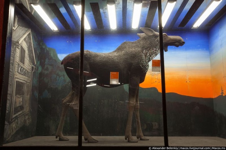 Стокгольмское метро (41 фото)