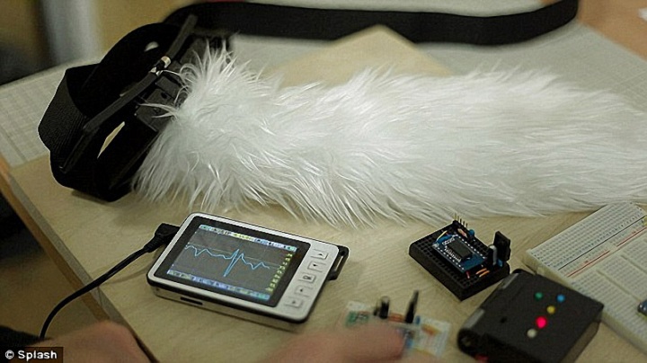 Хвост для человека (4 фото)