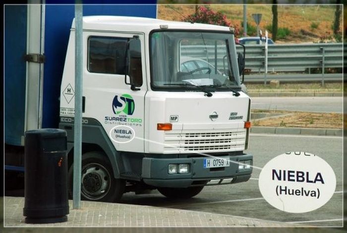 Бренд говорит сам за себя (27 фото)