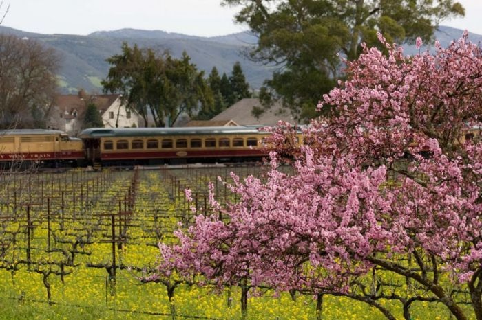 Эксклюзивные и дорогие подарки среди знаменитостей (9 фото)