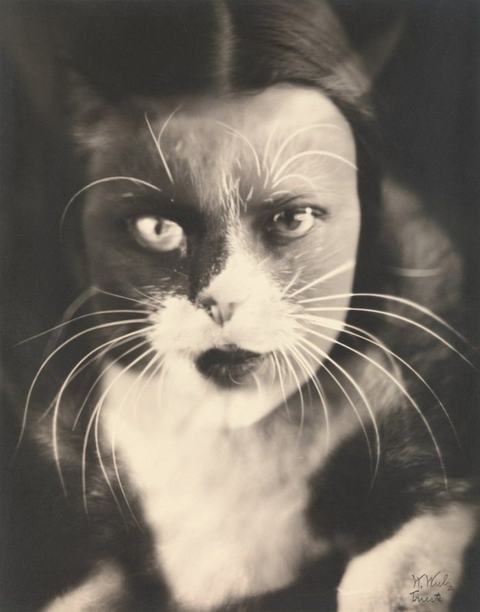 Как изменить фотографию без фотошопа? (18 фото)