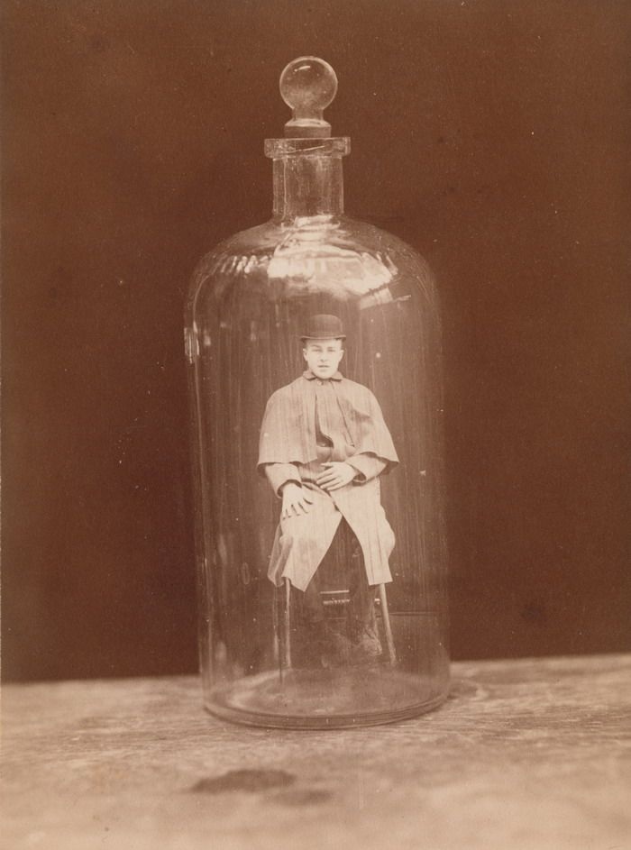 Как изменить фотографию без фотошопа? (18 фото)