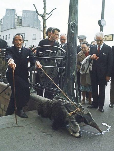 Звезды в другом облике (50 фото)