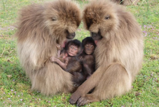 10 удивительных научных и психологических эффектов