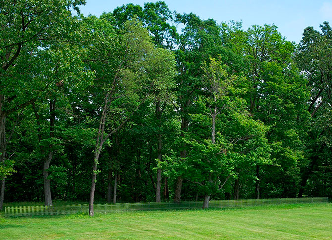 Монументальные образцы современного искусства