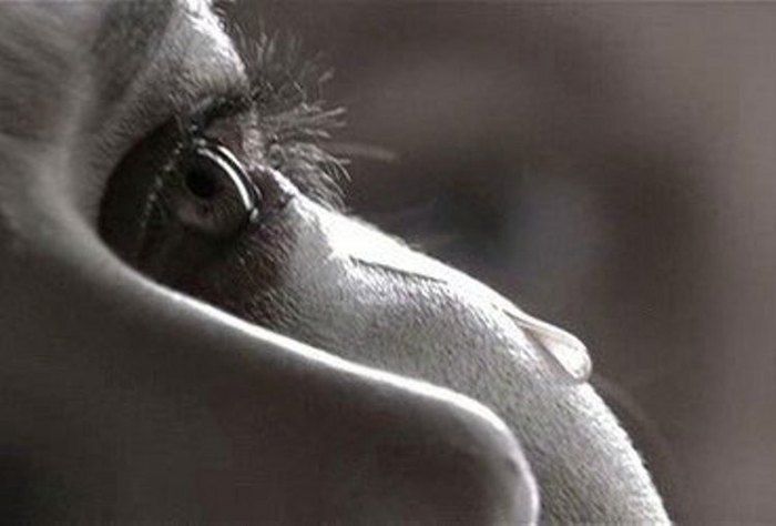 Спорим, вы не знали (13 фото+текст)