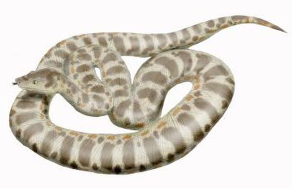 Спорим, вы не знали (13 фото+текст)