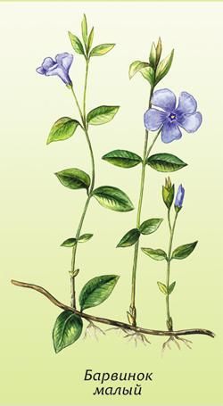 Вещи, которые придумали Евреи! (50 фото + текст)