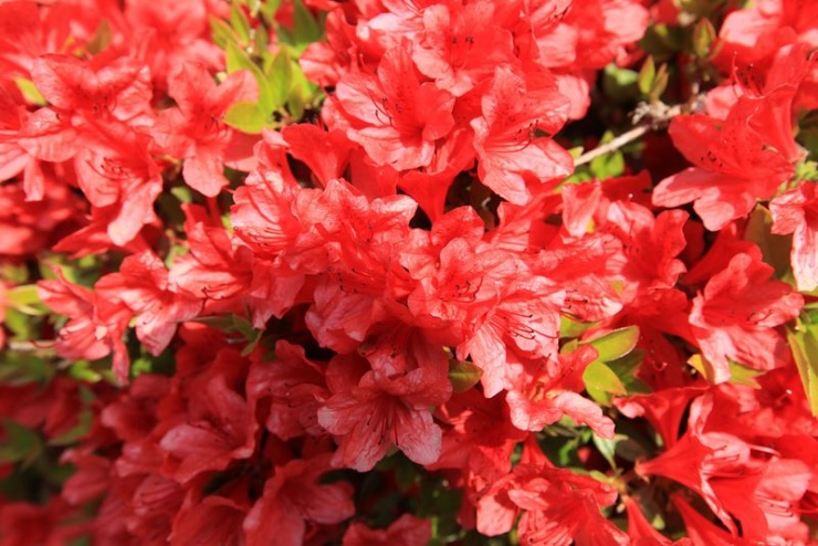 Сеул – город, в котором сосуществуют прошлое и будущее (106 фото)