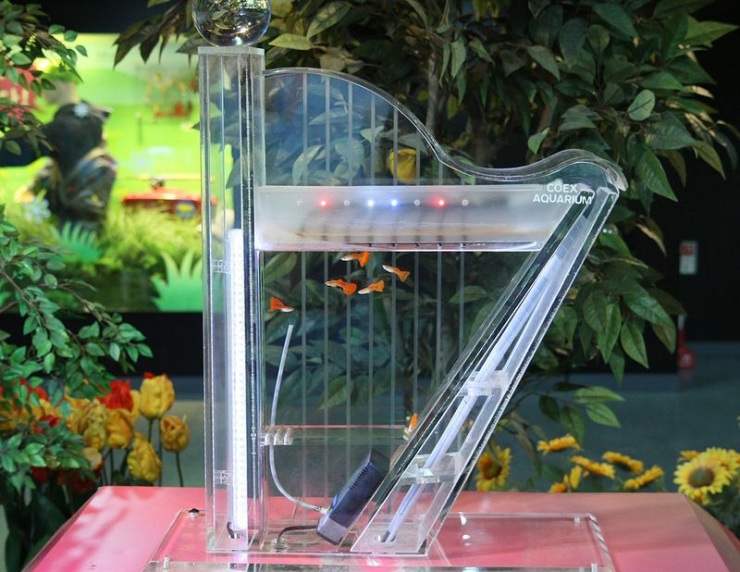 Сеул – город, в котором сосуществуют прошлое и будущее (106 фото)