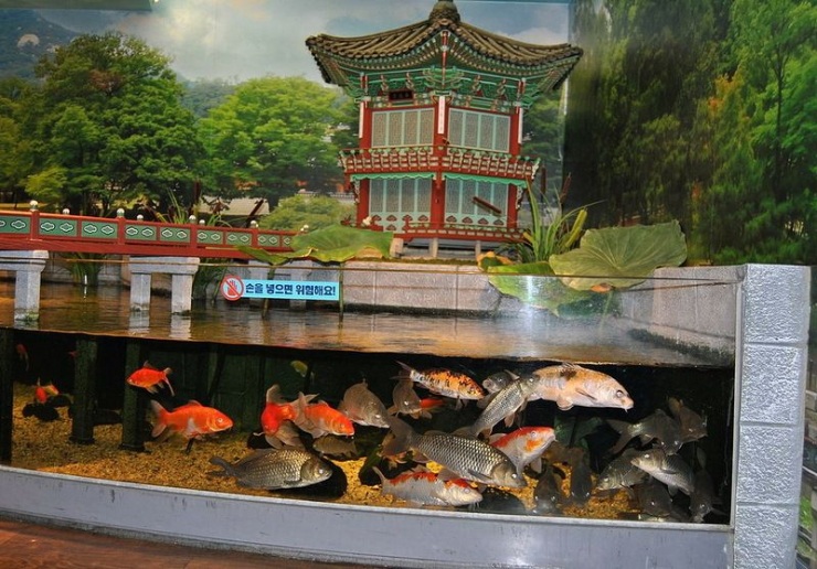 Сеул – город, в котором сосуществуют прошлое и будущее (106 фото)