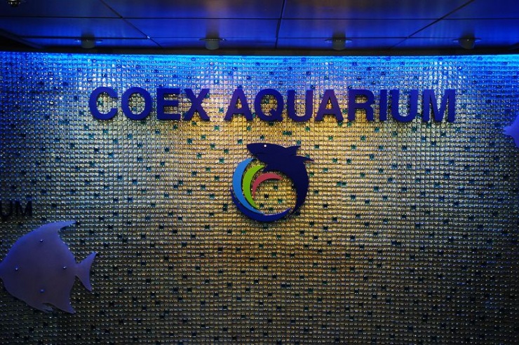 Сеул – город, в котором сосуществуют прошлое и будущее (106 фото)