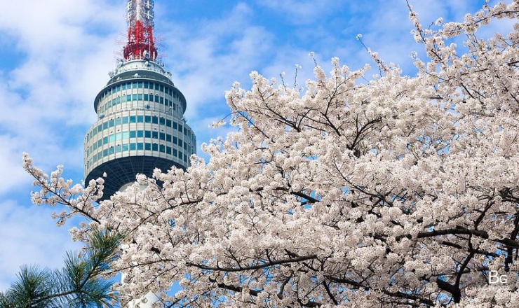 Сеул – город, в котором сосуществуют прошлое и будущее (106 фото)