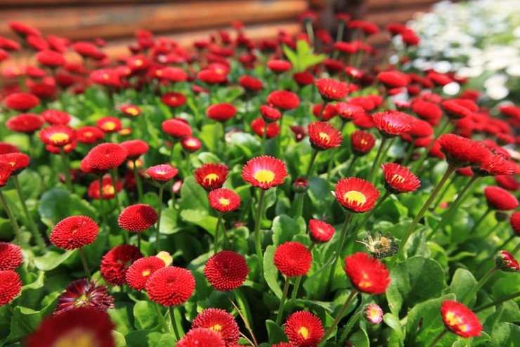 Сеул – город, в котором сосуществуют прошлое и будущее (106 фото)