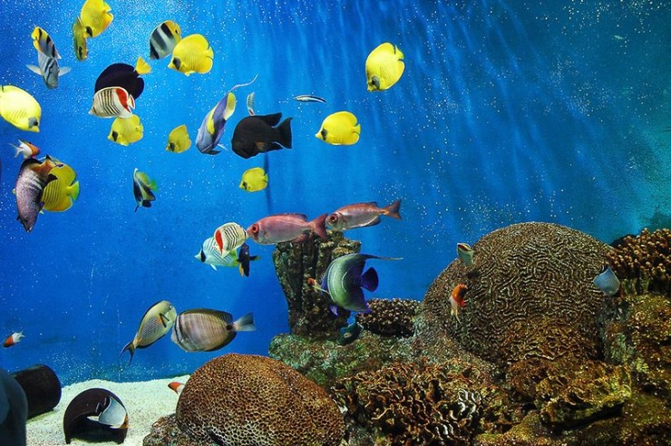 Сеул – город, в котором сосуществуют прошлое и будущее (106 фото)