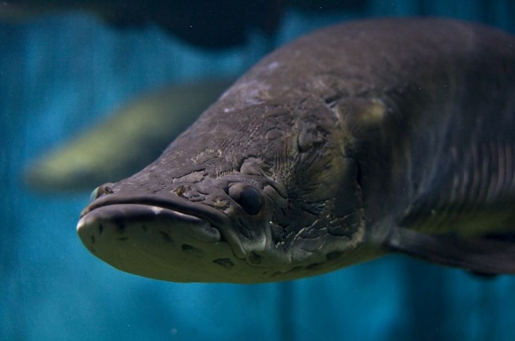 Сеул – город, в котором сосуществуют прошлое и будущее (106 фото)