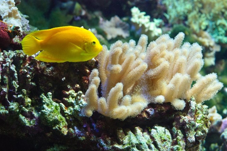 Сеул – город, в котором сосуществуют прошлое и будущее (106 фото)