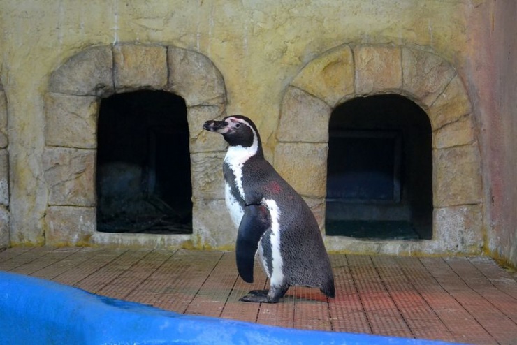 Сеул – город, в котором сосуществуют прошлое и будущее (106 фото)