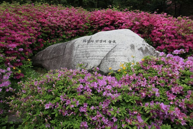 Сеул – город, в котором сосуществуют прошлое и будущее (106 фото)