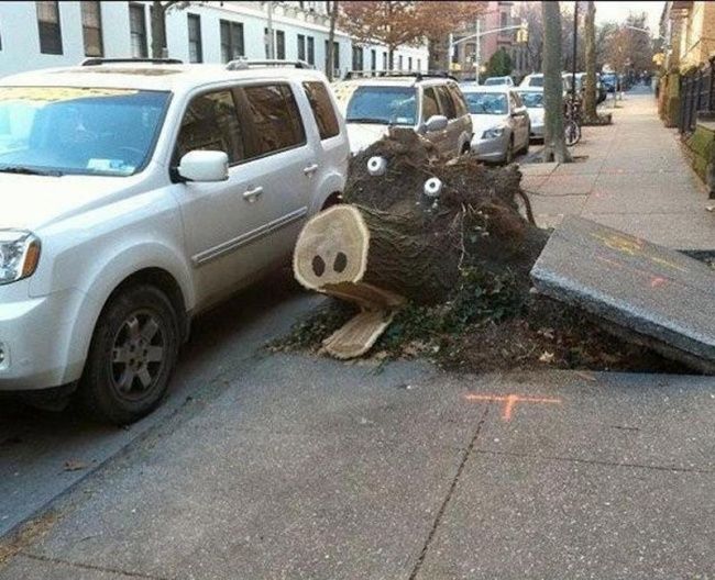 Сделай паузу - прояви креатив (12 фото)