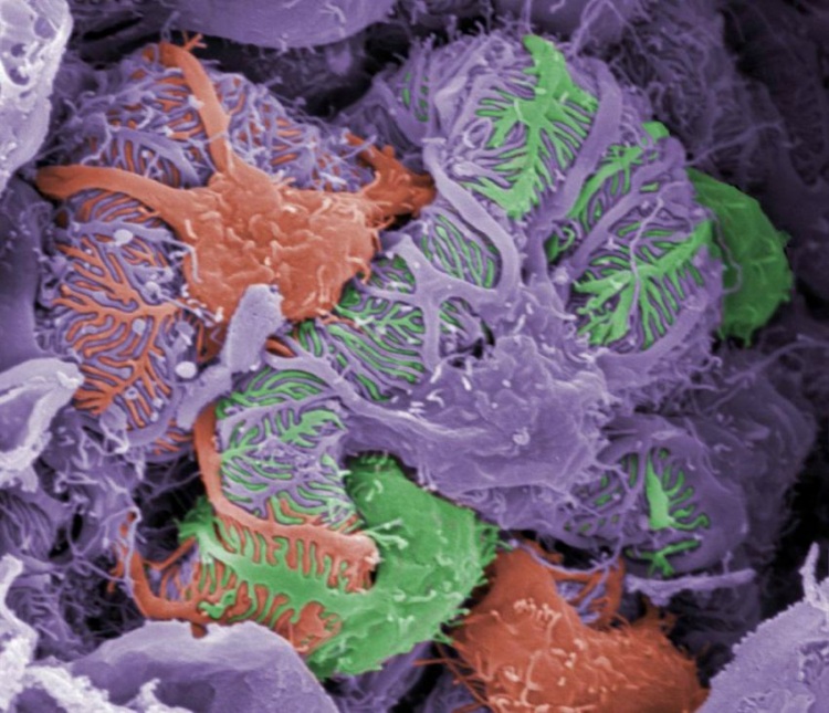 Макрофотографии обычных вещей - Фишки.нет