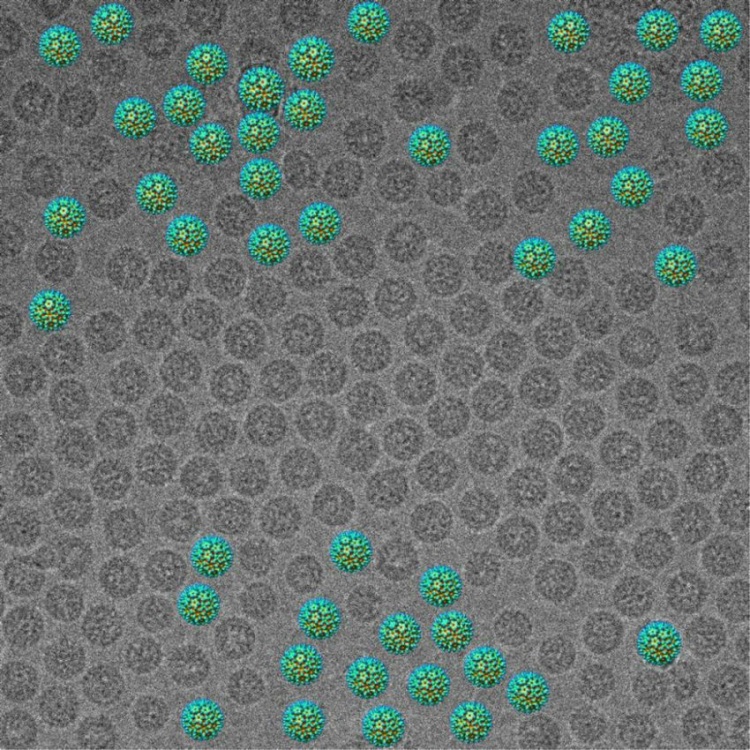 Макрофотографии обычных вещей - Фишки.нет