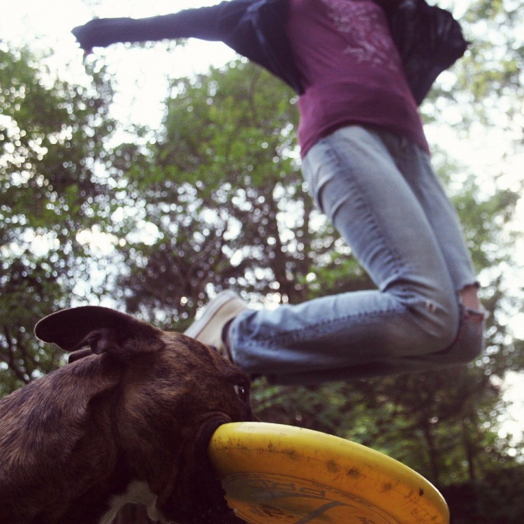 Фотобомбы и фотобомбочки