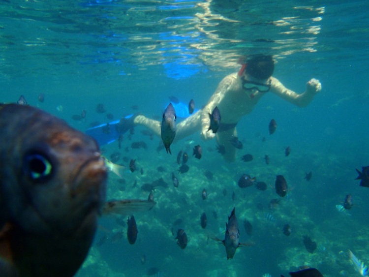 Фотобомбы и фотобомбочки