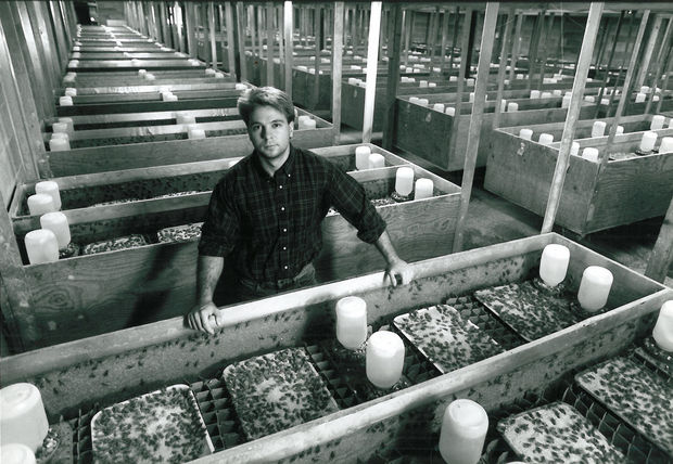 10 самых странных животных, которых выращивают на фермах